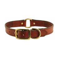 Dog Collar